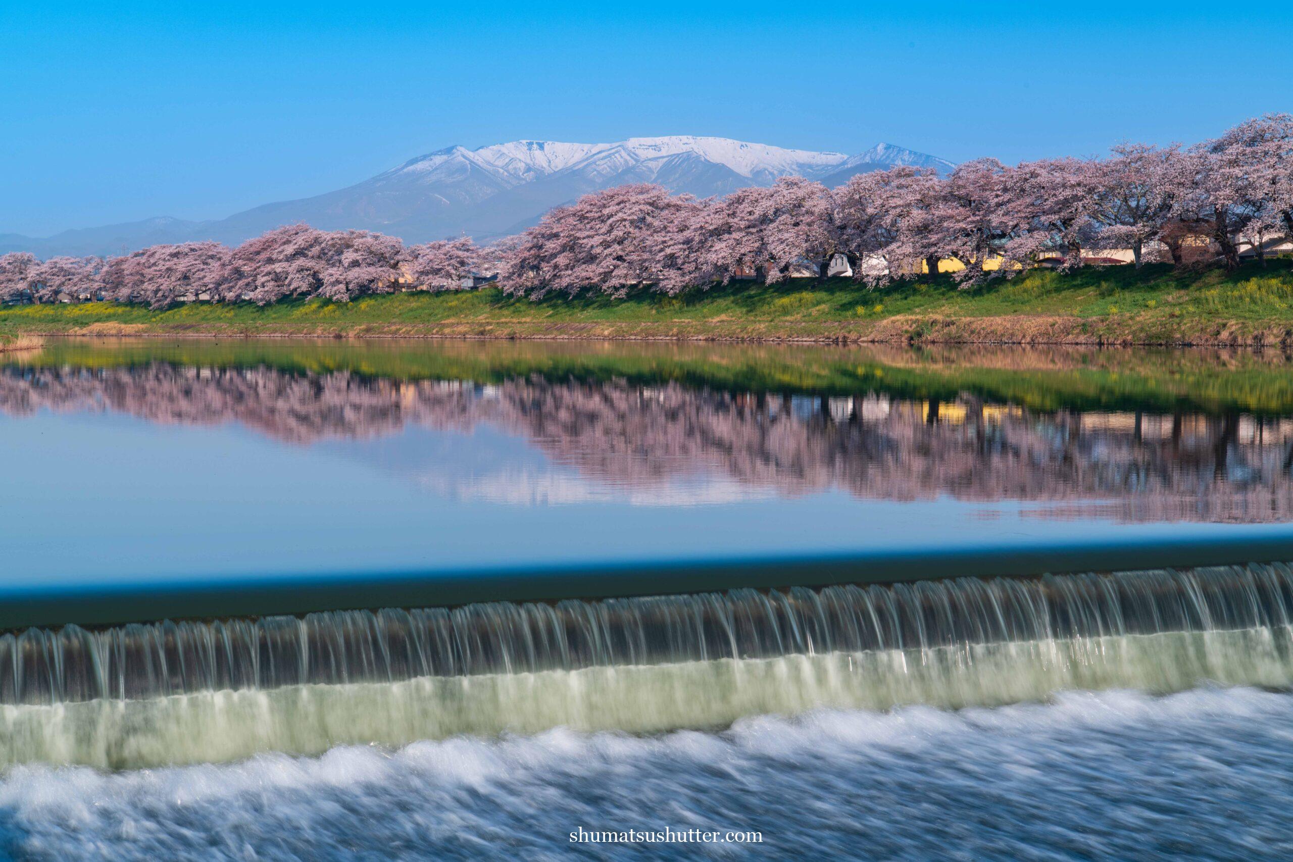 一目千本桜と蔵王連邦