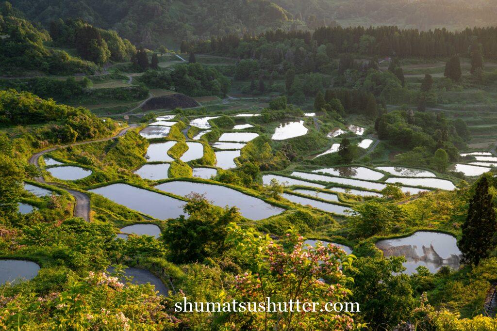 星峠の棚田