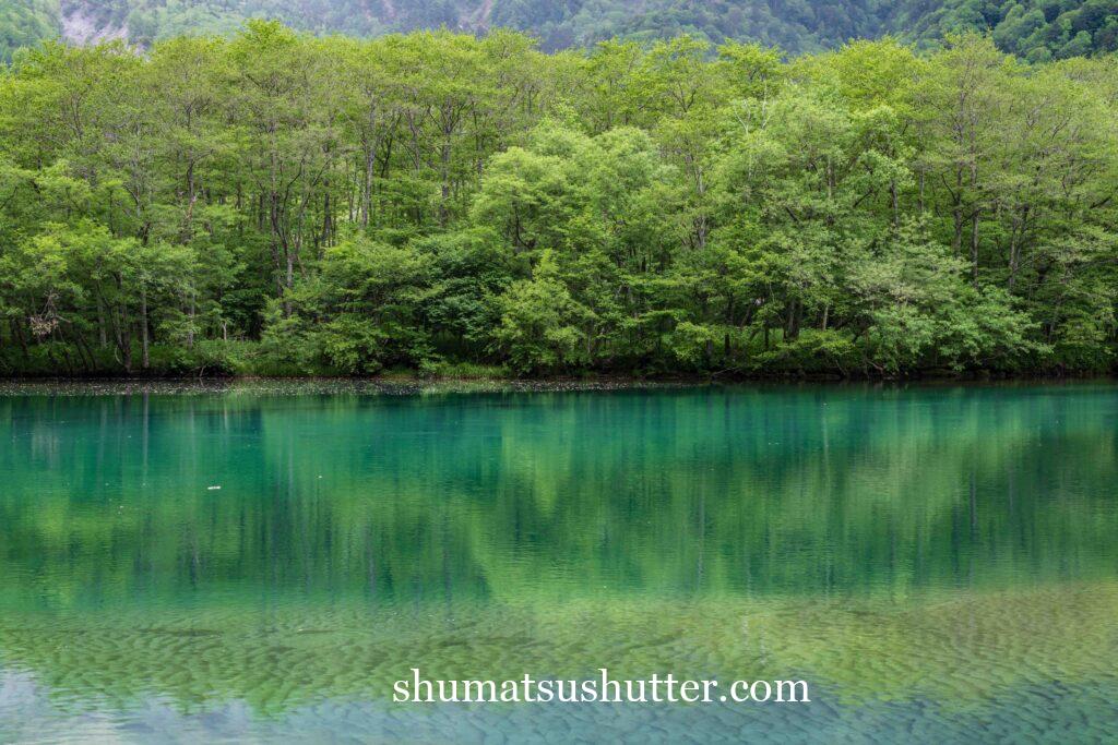 上高地の大正池